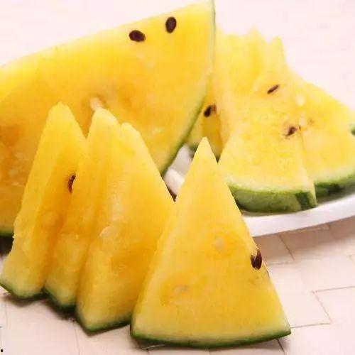 黑瓜吃料网是什么