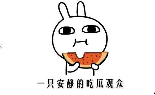 快手网红吃瓜黑料是真的吗,真相与谣言的交织